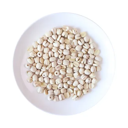 Fresh Stock Lotus Seeds Freeze-dried Coreless Lotus Seeds