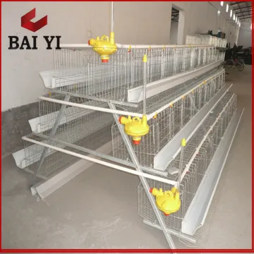 Chicken Feeding Cage System ( 96 chickens, 120 chickens, 128 chickens, 160 chickens )