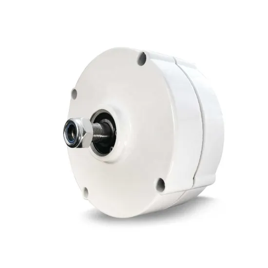 Permanent Magnet Generator 300W for Wind Turbine