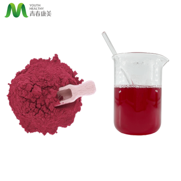 Bulk Red Beetroot Powder Competitive Price