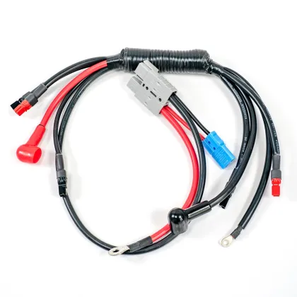 Jyxd 14 Years Factory OEM Wire Connector and OEM Wire Harness Electric Wire Cable Harness