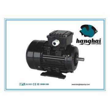 Three-Phase motor MS