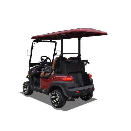 2-seater golf patrol car