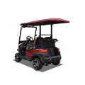 2-seater golf patrol car