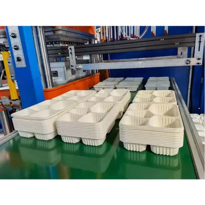 Automatic Plastic Thermoforming and Cutting Machinery