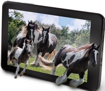 protable 10'' androdi tablet with wifi/gps/3g/camera