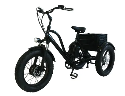 hall sensor rangka beltdrive electric tricycle