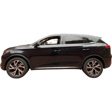 2025 BYD Tang Yunnian Edition Dual Mode intelligente