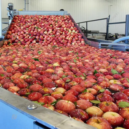 Factory Direct Commercial Apple Juice Extractor Machine & Complete Processing Line