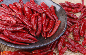Top quality chili pepper with best price