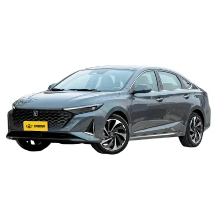2023 Raeton Plus 1.5T DCT Flagship Model