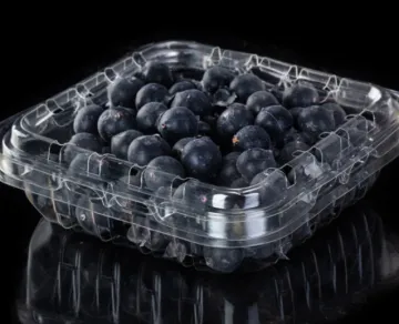 Eco-Friendly Fruit Packaging Box