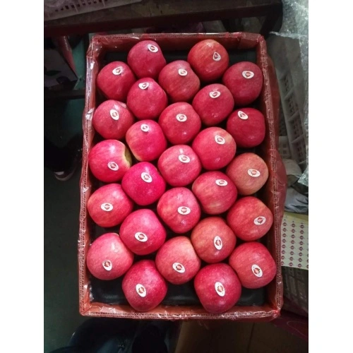 Chinese Pink Lady Red Apples China Manufacturer