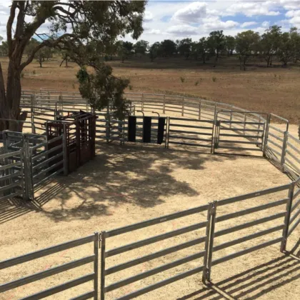 High Quality China Livestock Fence Panels for Farms