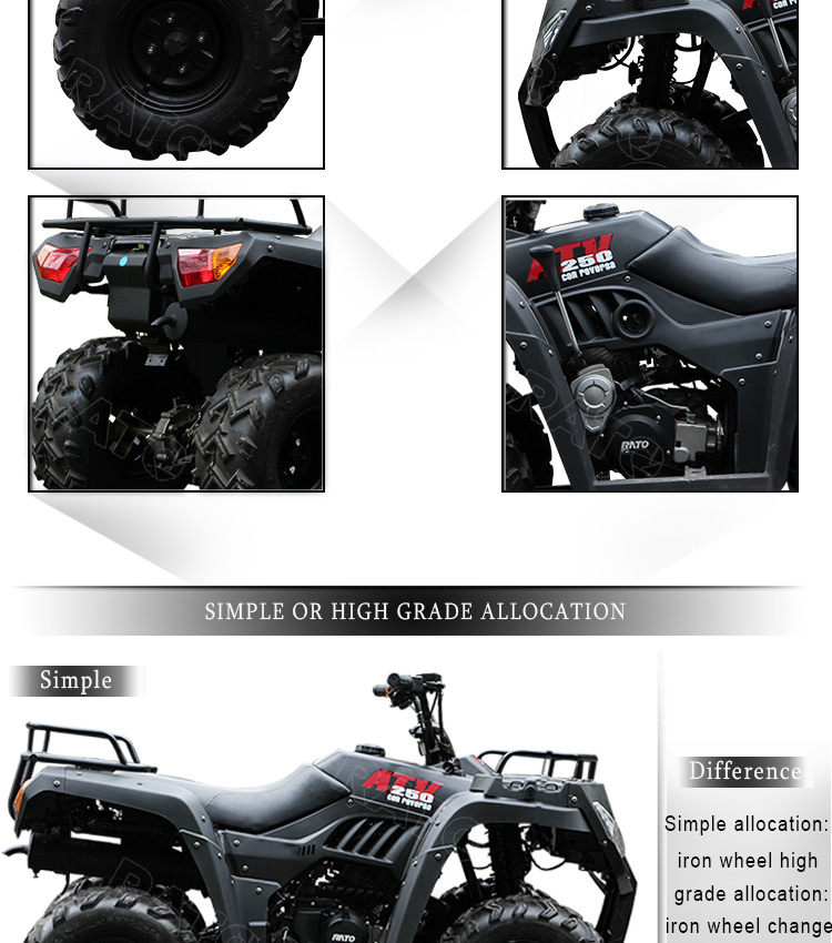 250cc_03