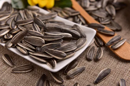 pure 361 sunflower seeds bayannur origin