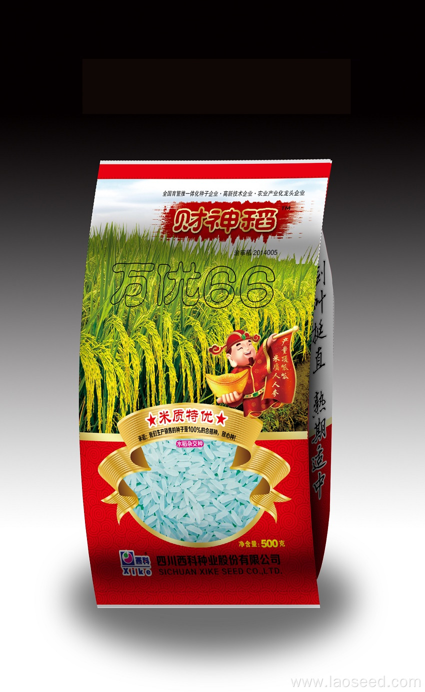 Wanyou 66 Indica Hybrid Rice Variety