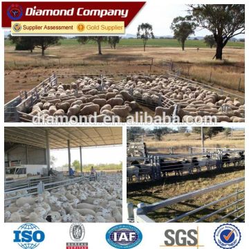 Sheep fence panels/rail sheep fence panels/sheep panels