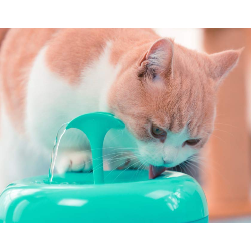 Patented 5-Layer Filtration Pet fountain