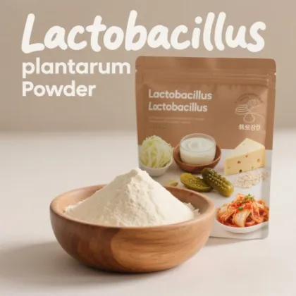 Lactobacillus Plantarum Probiotic for Athletic Performance