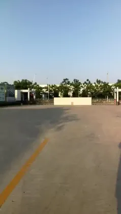 ZNSN Cod - Liver Oil vitamin