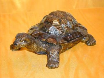 turtle lighting