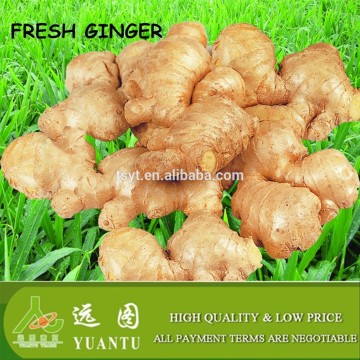 deep fresh ginger