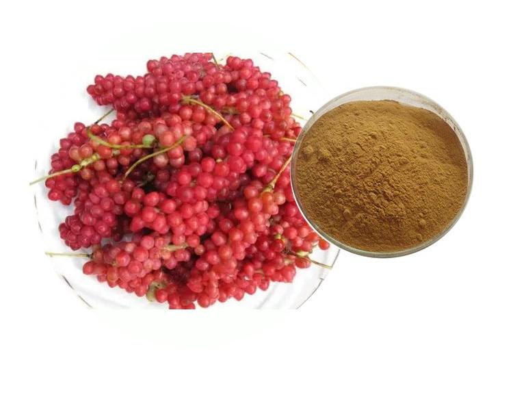 Plant Protein Powder with Schisandrin
