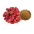 Plant Protein Powder with Schisandrin
