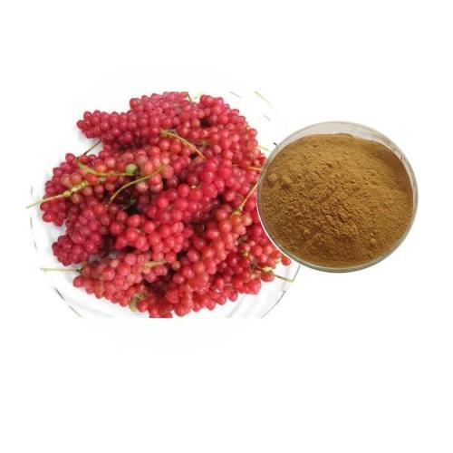 Plant Protein Powder with Schisandrin