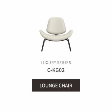 Lunar Lounge Chair Moderner komfortabler Lounge -Stuhl