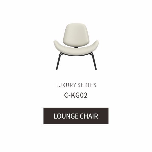 Lunar Lounge Chair modern comfortable lounge chair