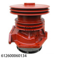 612600061701 612600061478 612600061479 Weichai Water Pump