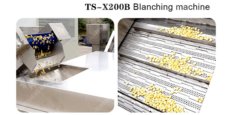 vegetable blanching machine