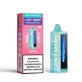 Lost Mary MO20000 Puff Disposable Vape Kit