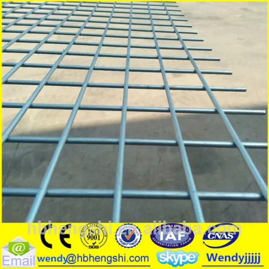Hot dipped galvanized welded wire mesh/manufacture welded wire mesh
