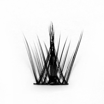 DIY Segment Lash Kit for Private Label: Achieving Fluffy, Natural False Lash Extensions at Home