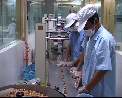 full automatic hard candy punch forming prodcution line