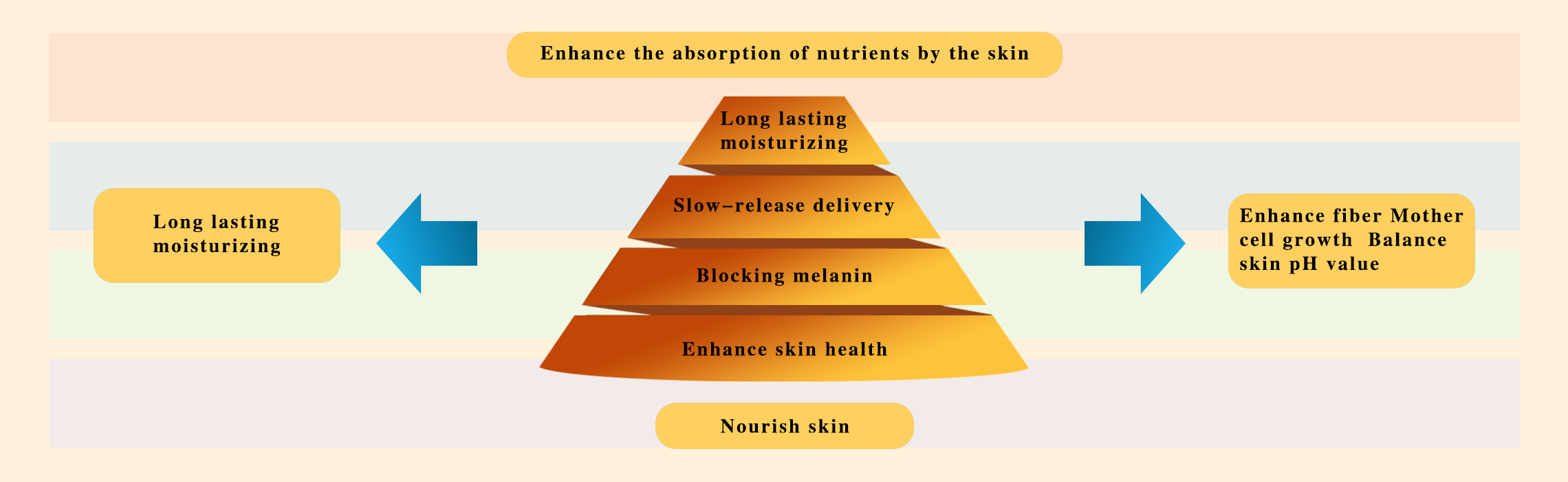 polyglutamic acid and vitamin c