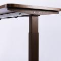 Electric Special Design Working Standing Desk