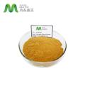 Turmeric Curcumin 95% Extract Powder Competitive Price