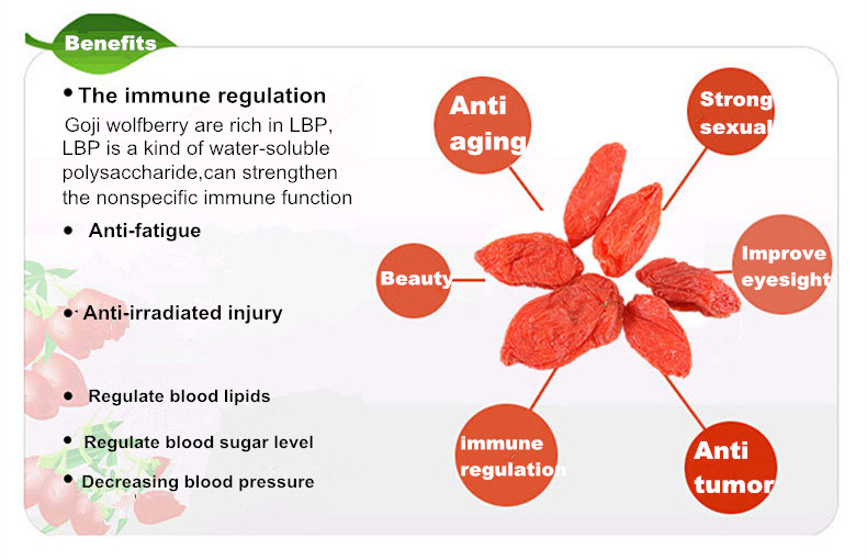 GOJI BERRY'S BENEFITS