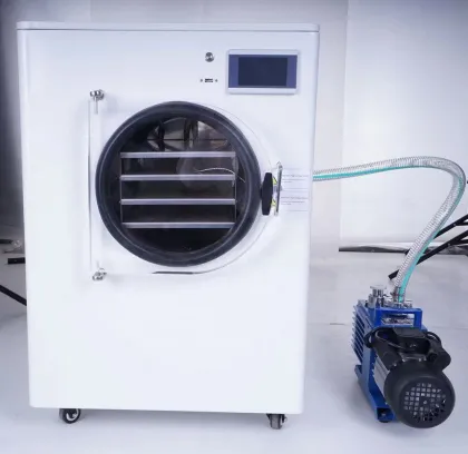 Home Freeze Dryer Machine: Small Freeze Dryer with Vacuum Pump for Candy