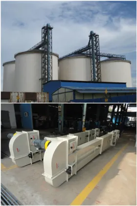 OEM Custom Low Price Rice Mill Bucket Elevator Machine