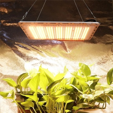 Newest Horticulture 120W high effciency Grow Lights