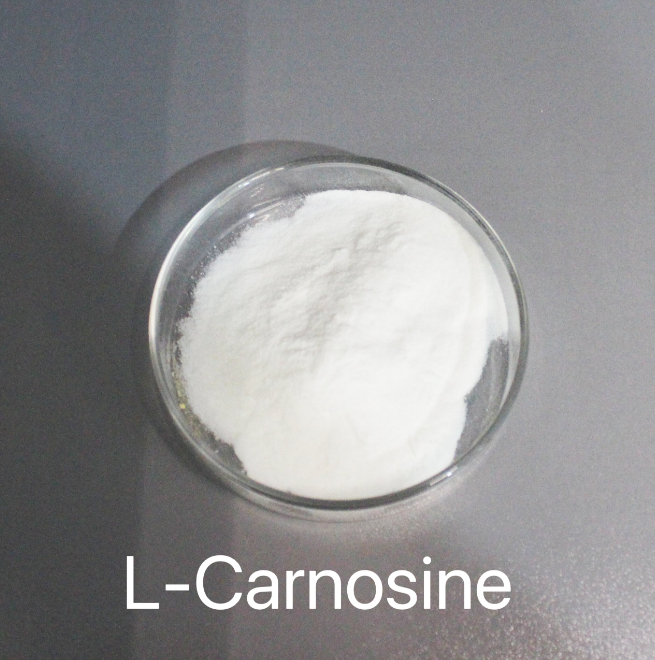 Suplemento de aminoácidos L-carnosina