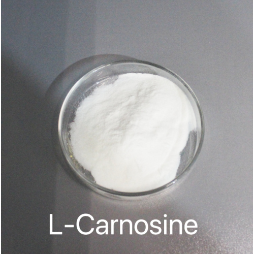 L-Carnosine amino acid supplement