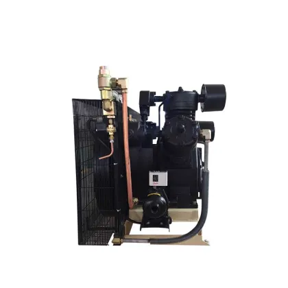 Highly Efficient W-1.0/30Bar Piston Air Compressor for Scuba Applications