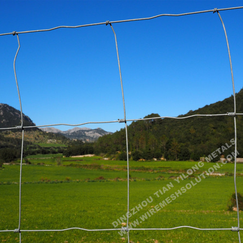 100/8/15 Hinge Joint Field Fence for Grassland