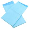 Disposable Indoor outdoor puppy pet pads